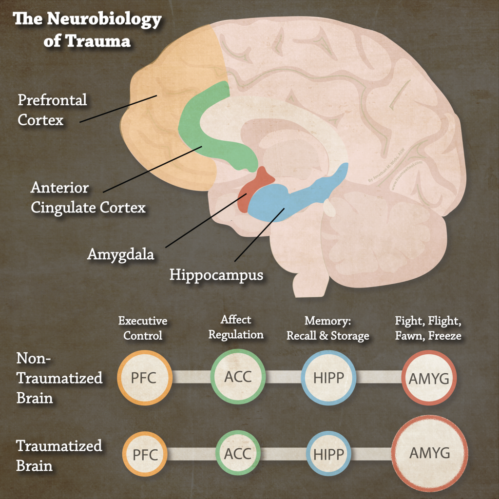 Trauma+NeuroBiology+2.0-01 - Anxiety-stresscenter.com